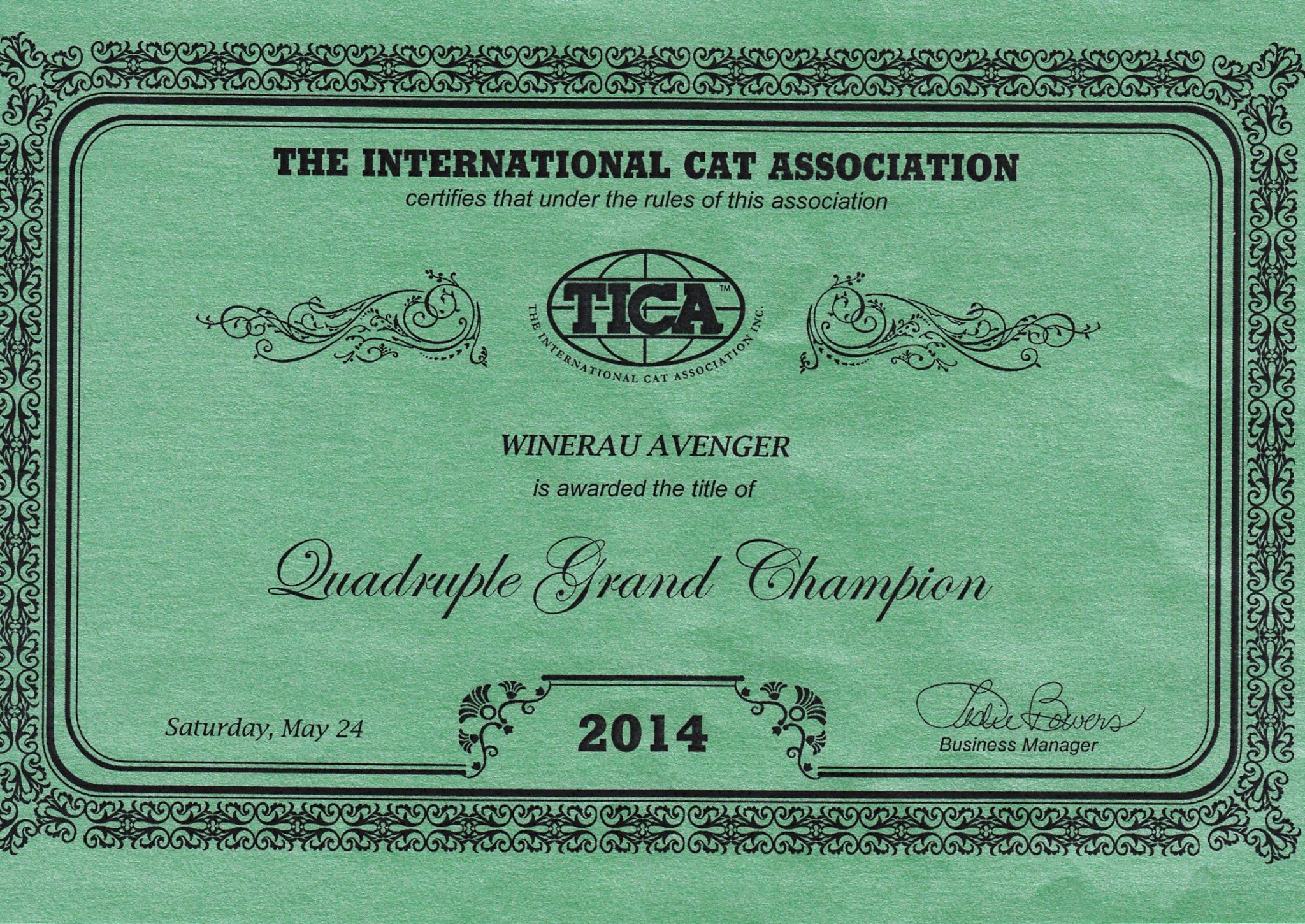 Wind in Willows cattery photo