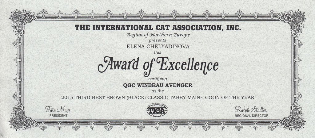 Wind in Willows cattery photo