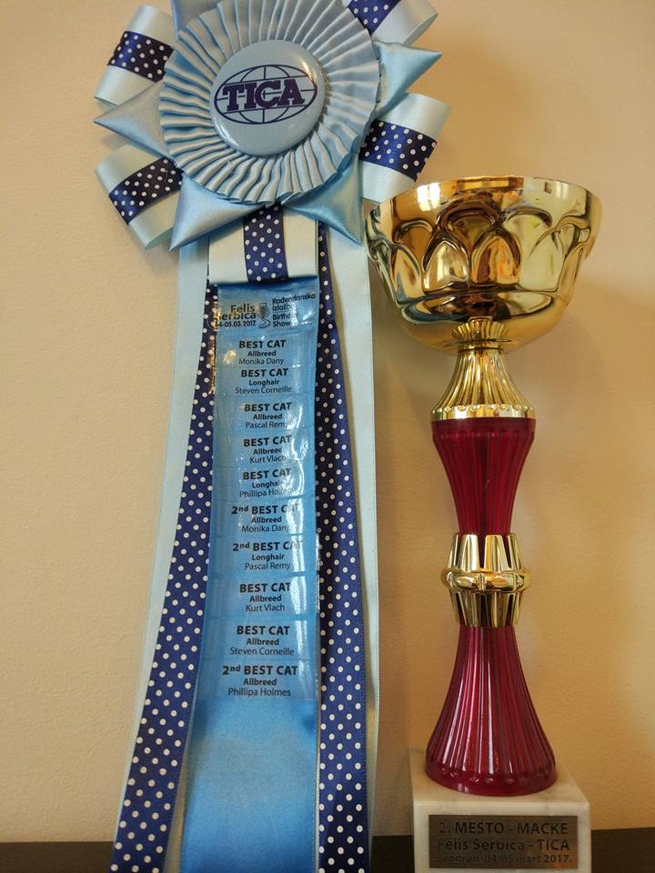 Wind in Willows cattery photo