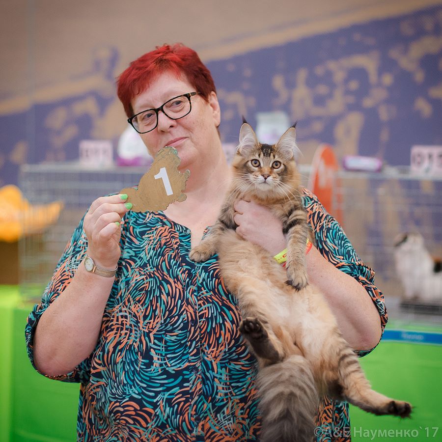 Wind in Willows cattery photo